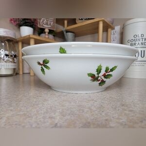 Better Homes and Garden Holiday Limited Edition 2009 10" Bowl - 2 Bowls